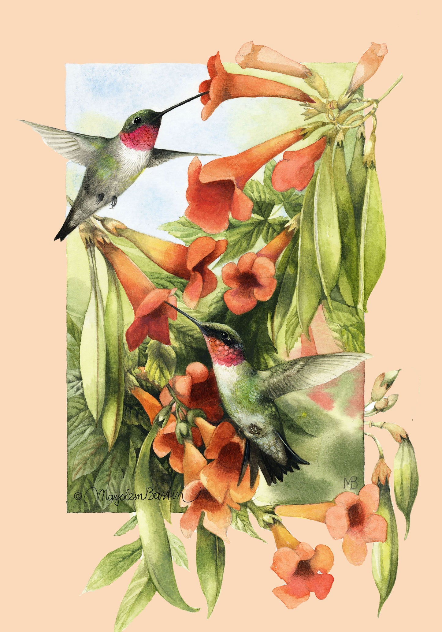 Sweet Summer House Flag ( 3 items per case )