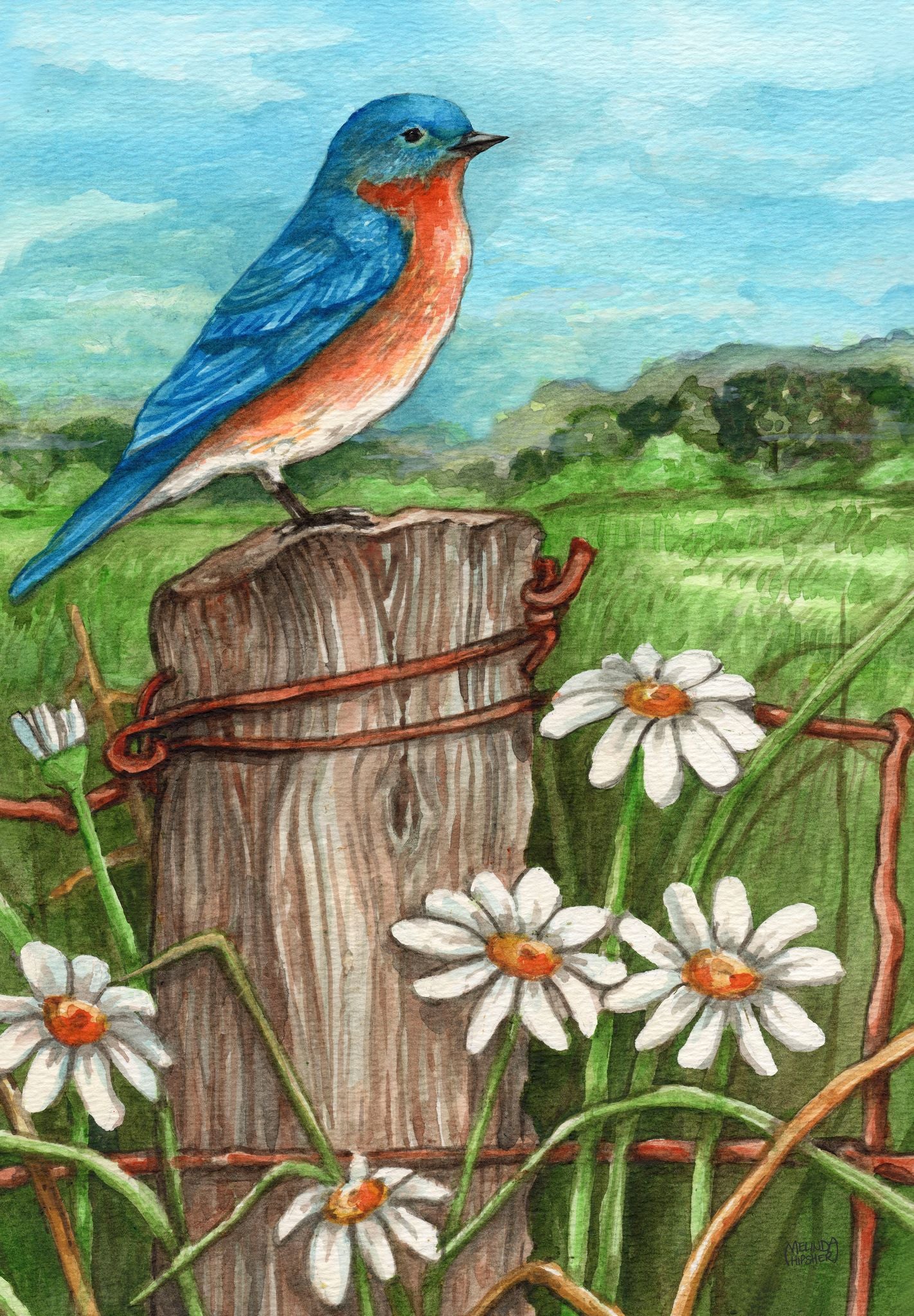 Bluebird In Daisy Meadow Garden Flag ( 3 items per case )