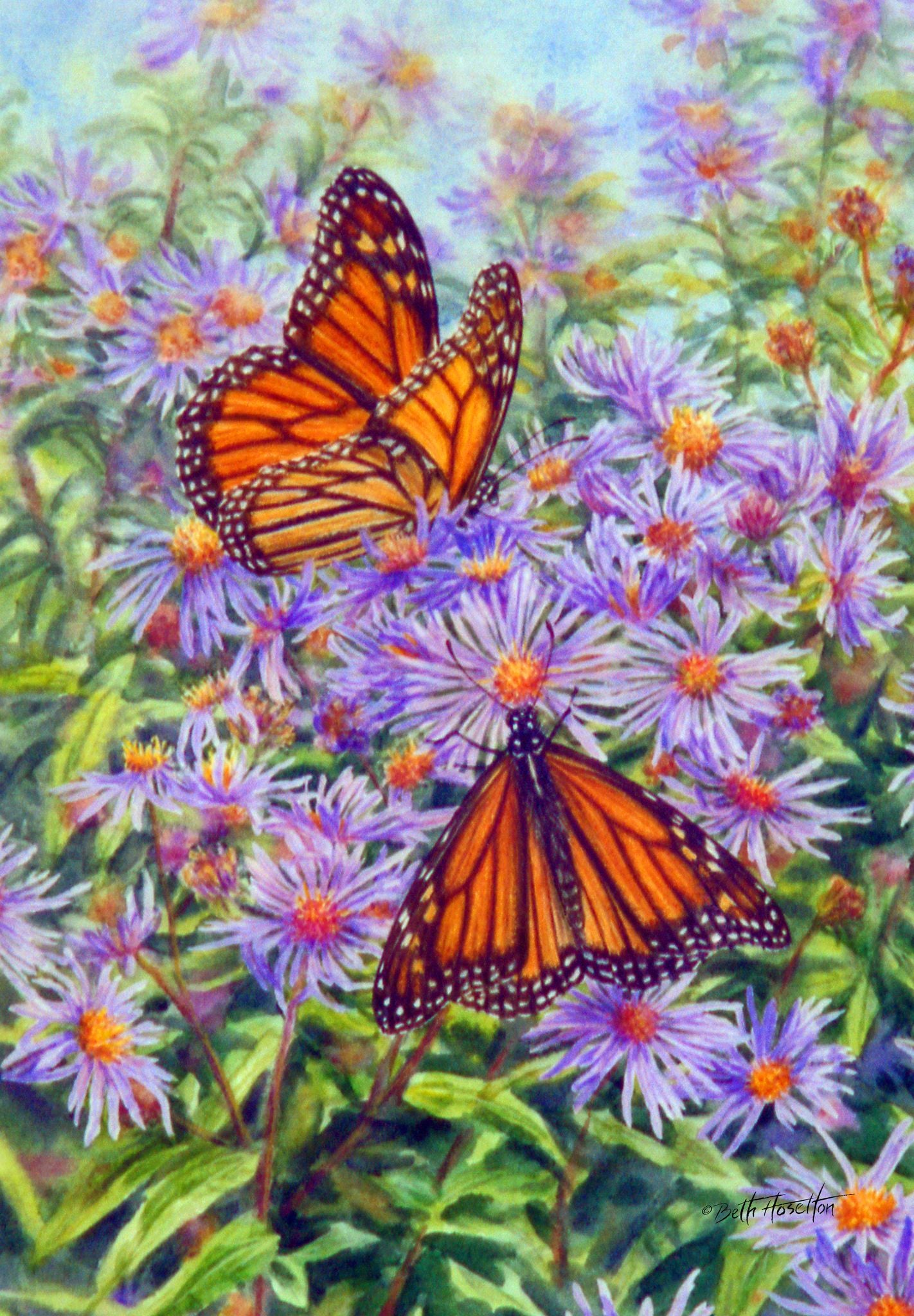 Butterflies and Asters Garden Flag ( 3 items per case )